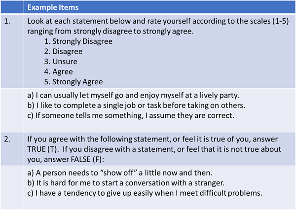 Sample personality items