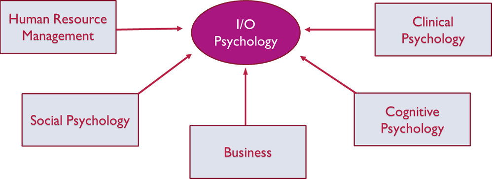 what does I/O cover